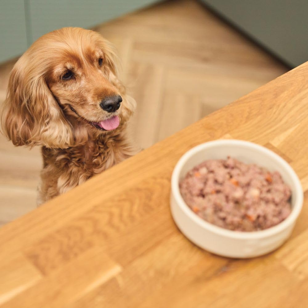 Lily's Kitchen wet dog food