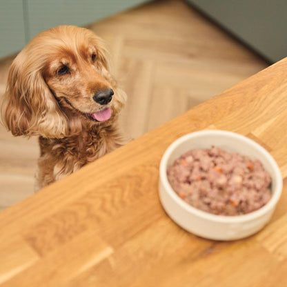 Lily's Kitchen wet dog food