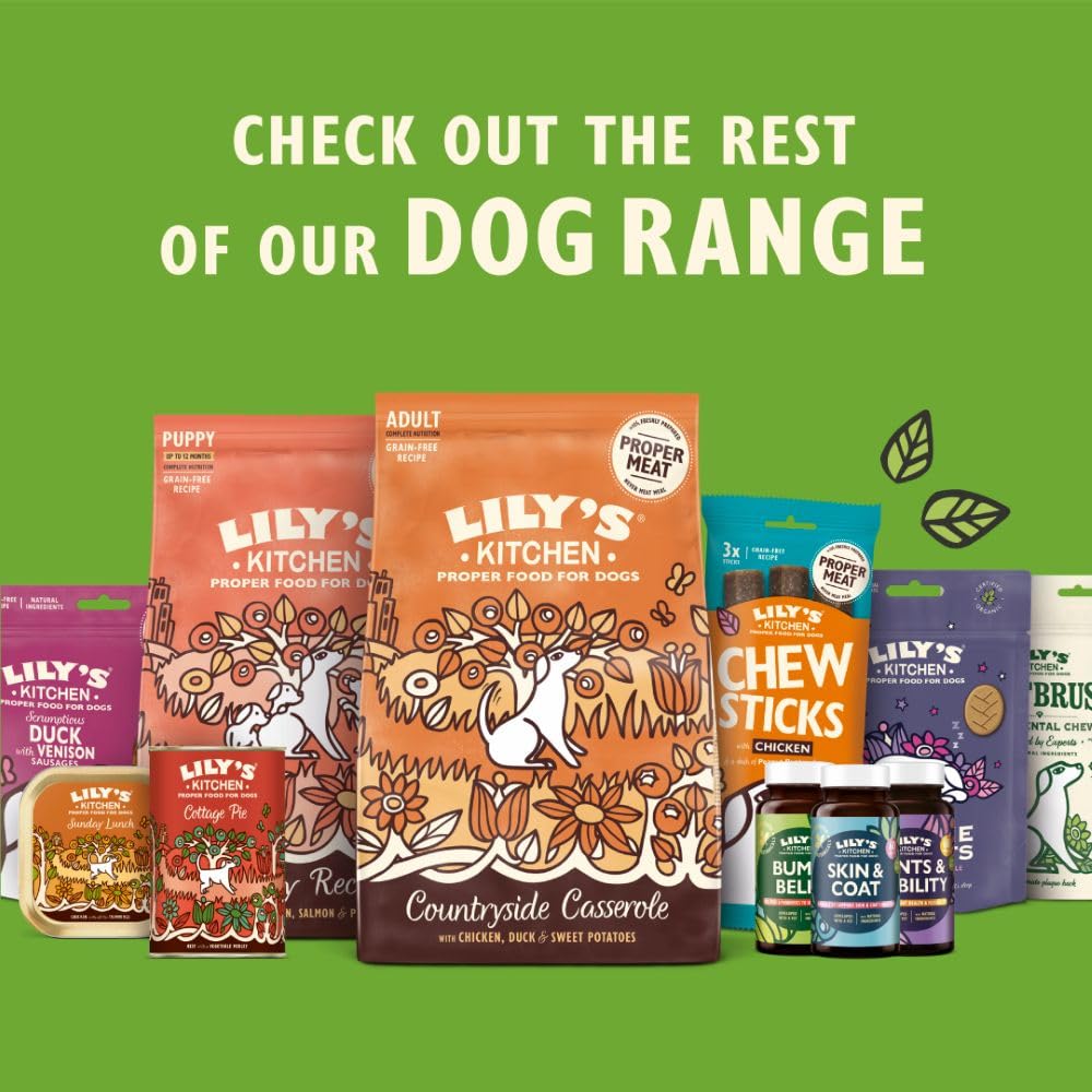 Lily's Kitchen wet dog food