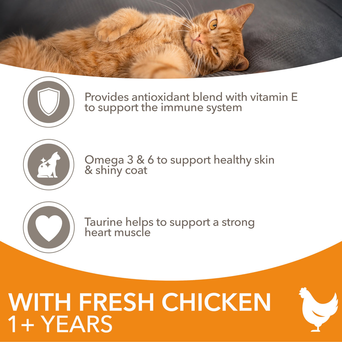 IAMS Adult Dry Cat Food with Chicken 10kg - image 4