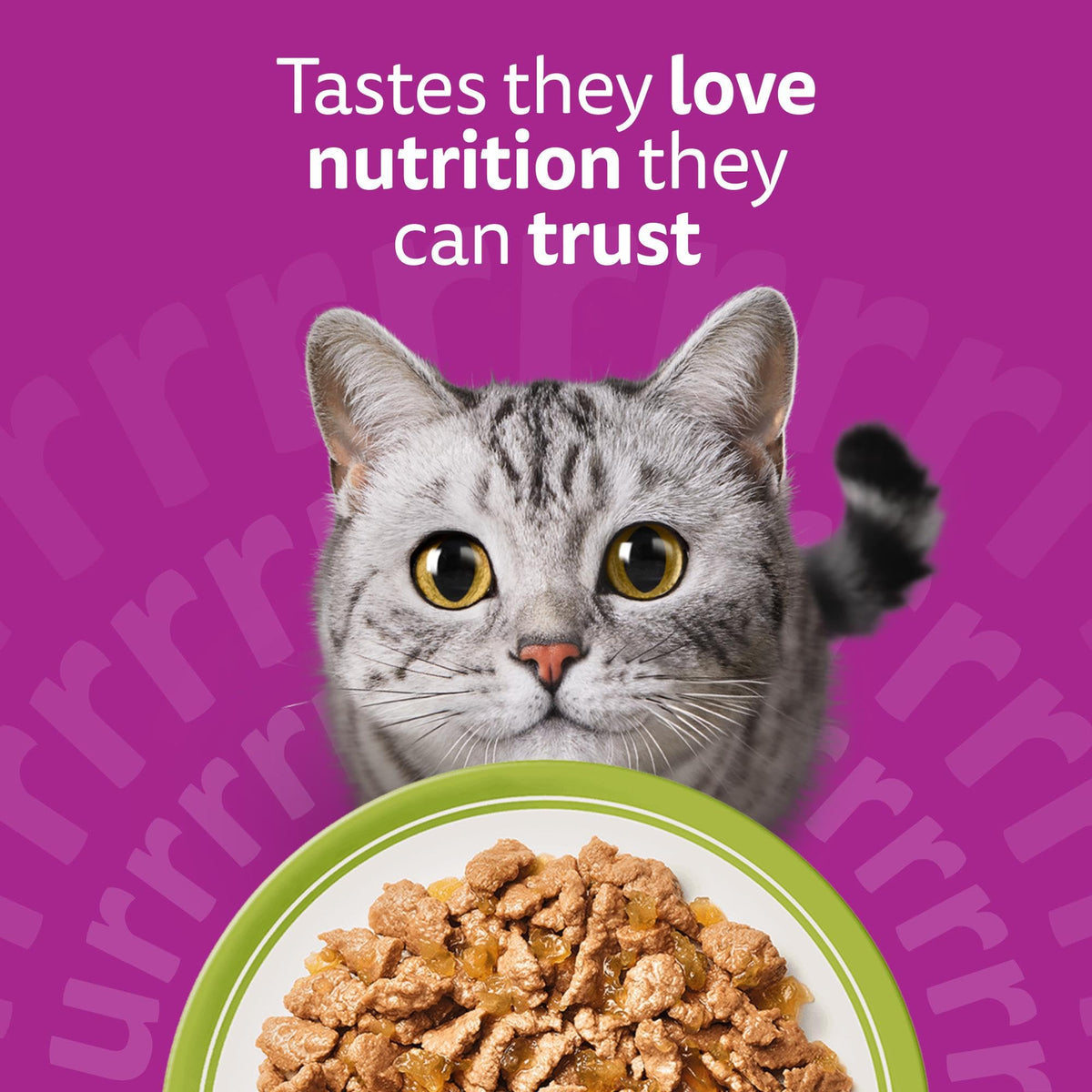 whiskas Pouches
