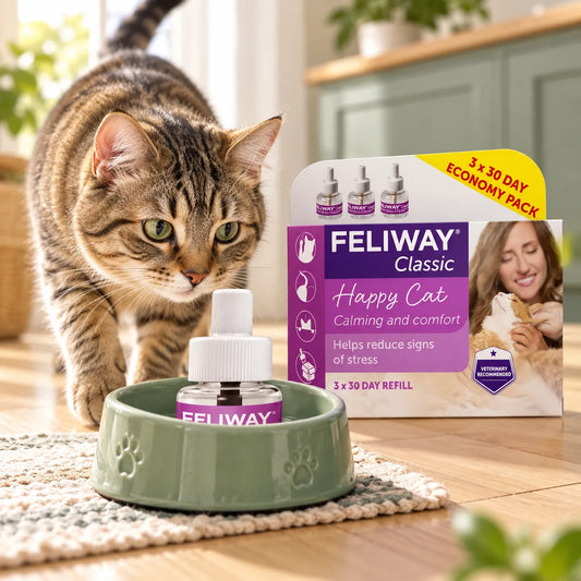 Feliway Classic Cat Calming Diffuser Refills 3 Pack - photo 1
