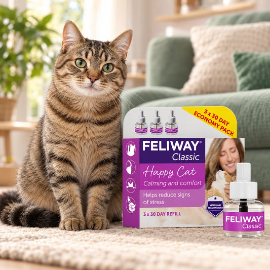Feliway Classic Cat Calming Diffuser Refills 3 Pack - photo 2