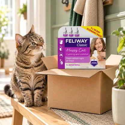 Feliway Classic Cat Calming Diffuser Refills 3 Pack - photo 3