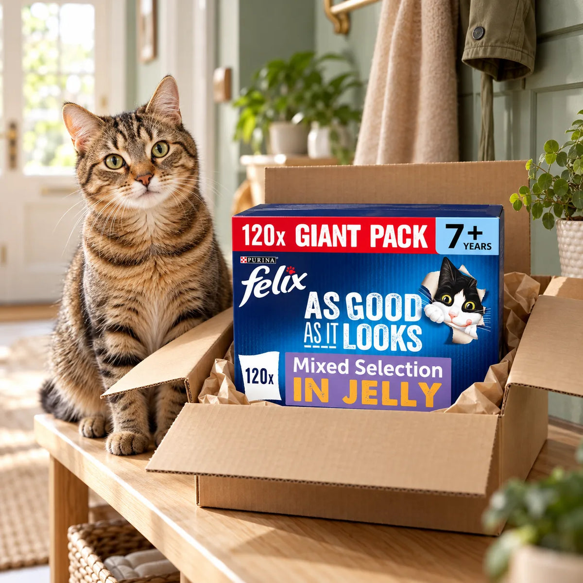 Felix As Good As It Looks Senior 7+ Wet Cat Food in Jelly 120 x 85g - photo 2