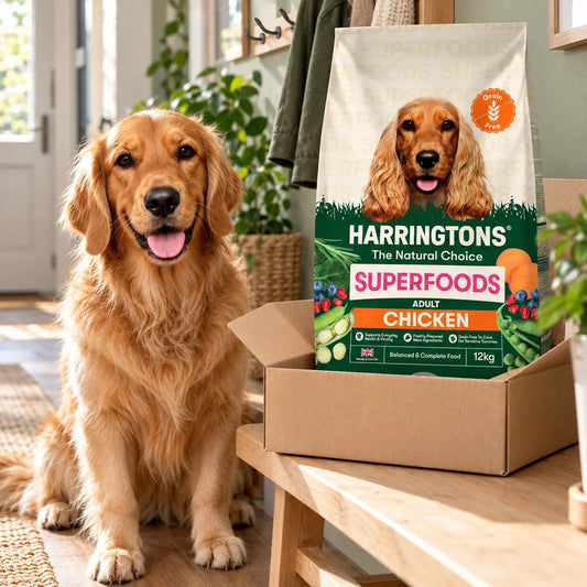 Harringtons Grain Free Dry Dog Food Chicken and Veg 12kg - photo 2