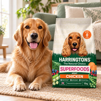 Harringtons Grain Free Dry Dog Food Chicken and Veg 12kg - photo 3