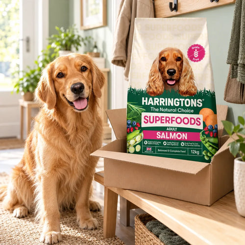 Harringtons Grain Free Salmon dry dog food 12kg bag