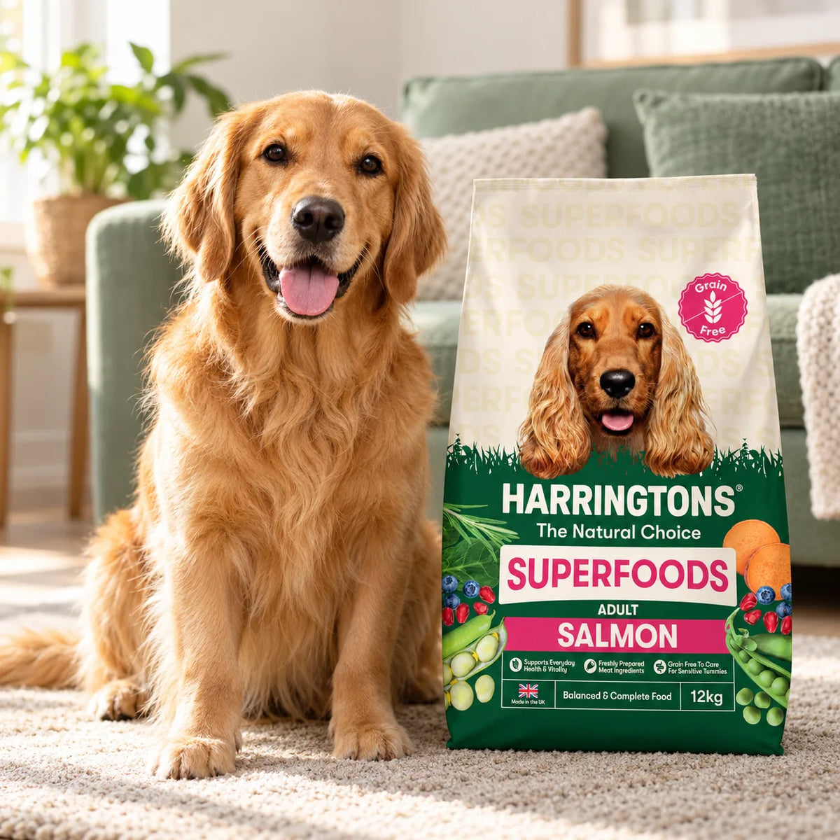 Harringtons Grain Free Dry Adult Dog Food Salmon and Veg 12kg - photo 2