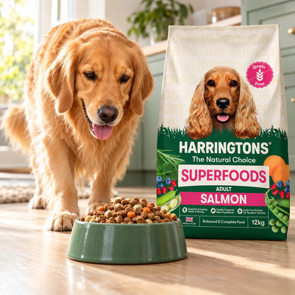 Harringtons Grain Free Dry Adult Dog Food Salmon and Veg 12kg - photo 3