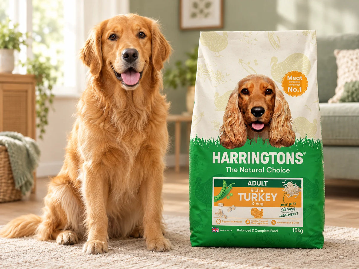 Harringtons Complete Dry Adult Dog Food Turkey & Veg 15kg bag with a happy golden retriever