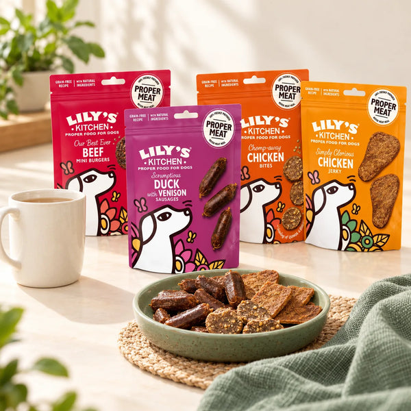 Lily's Kitchen Natural Dog Treats Multipack 8 x 70g