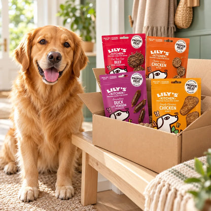 Lily's Kitchen Natural Dog Treats Multipack 8 x 70g - photo 3