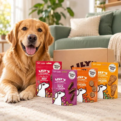 Lily's Kitchen Natural Dog Treats Multipack 8 x 70g - photo 4