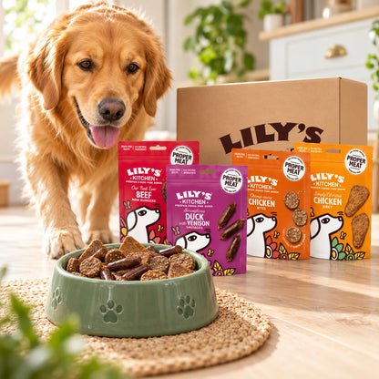 Lily's Kitchen Natural Dog Treats Multipack 8 x 70g - photo 5