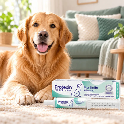 Protexin Veterinary Pro-Kolin Advanced Digestive Paste for Dogs 60ml - photo 5