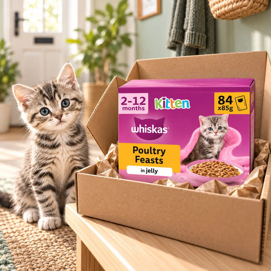 Whiskas Junior Wet Kitten Food Pouches in Jelly Poultry Selection 84 x 85g - photo 2