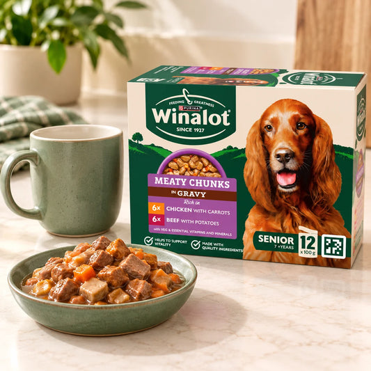 Winalot Meaty Chunks Senior wet dog food pouches on a kitchen counter