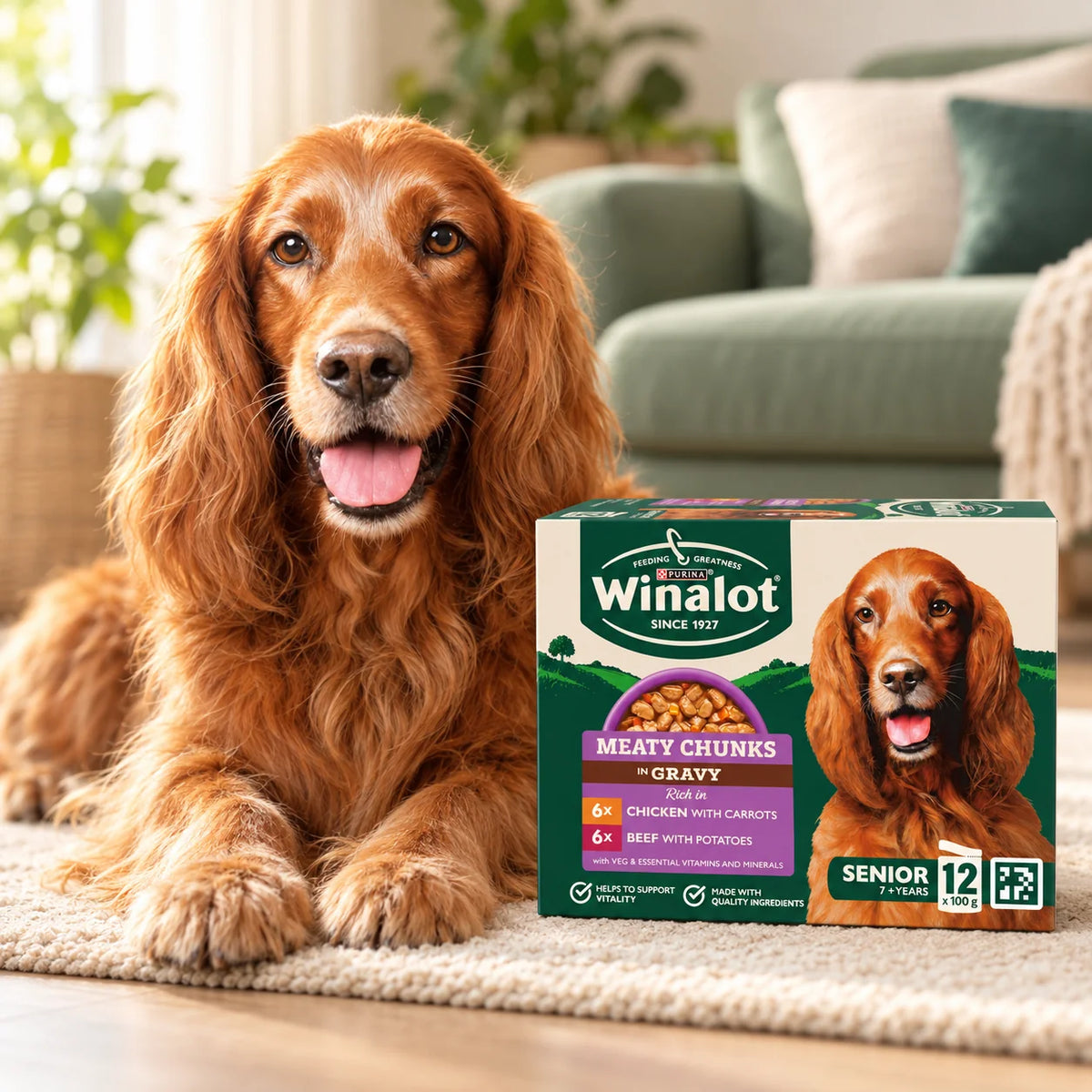 Happy dog with Winalot Meaty Chunks Senior wet food