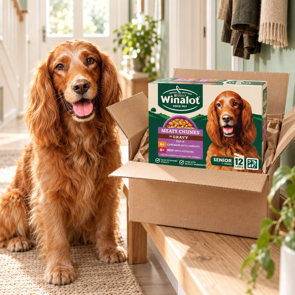 Happy dog with a delivered Winalot Meaty Chunks Senior box